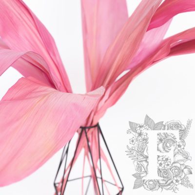 Aspidistra - 10 stems