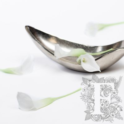 Calla Lily - Ombre - 5 Heads