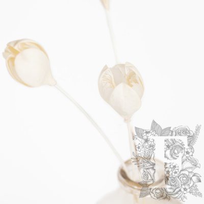 Tefe Rose - 5 Stems