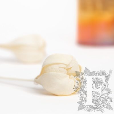 Tefe Rose - 5 Stems
