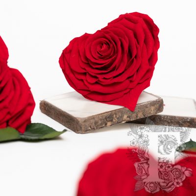 Fora exclusive  roses - Heart - Forever red