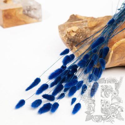 Lagurus Bunny Tail - Bunch 50g