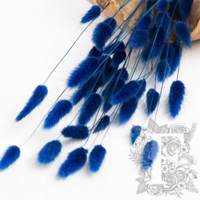 Lagurus Bunny Tail - Bunch 50g