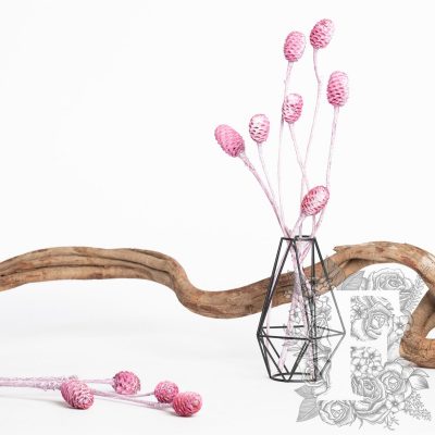 Sabulsom - Branch - 3 stems