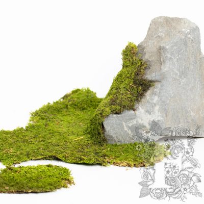 Canopy - Rock Moss - 1kg