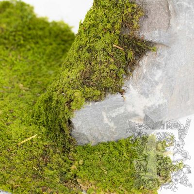 Canopy - Rock Moss - 1kg