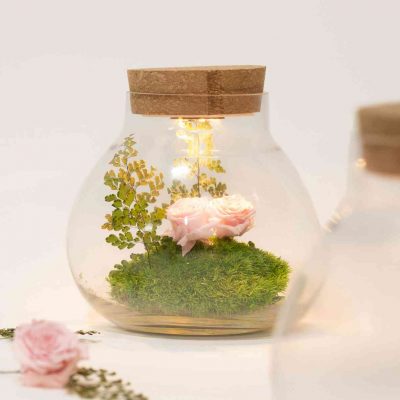 blog cover