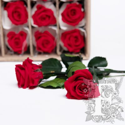 27.5CM Rose with stem - 25 Stem Bulk