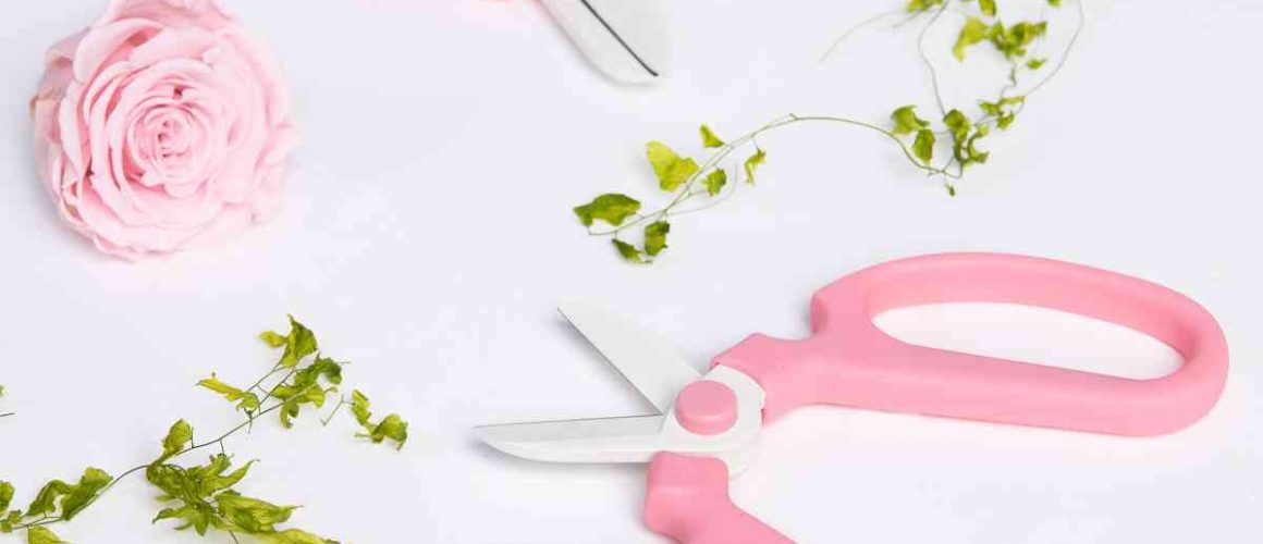 Blog Cover