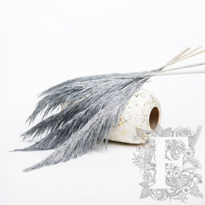 Pampas - Premium - 5 Stem - 60cm - 80cm