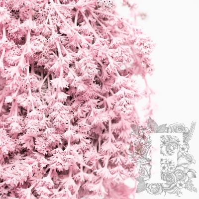 Dried flower - Wreath - Large