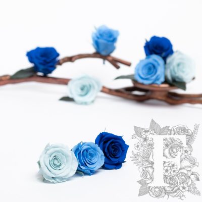 Rose Kanon - Medium - 9 Heads