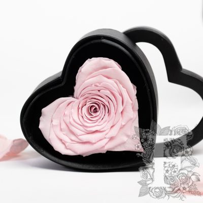 Gift Box - Heart