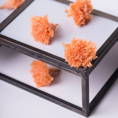 Carnation - 6 heads