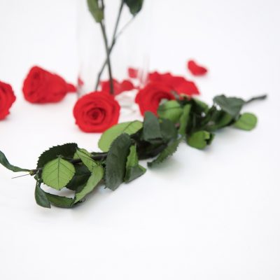 Rose Stem -70cm