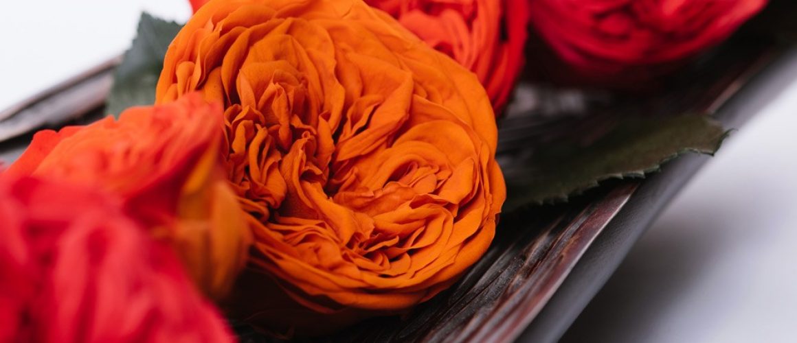 colour-contrasting