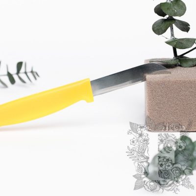 Floral Knives - 5 Pack