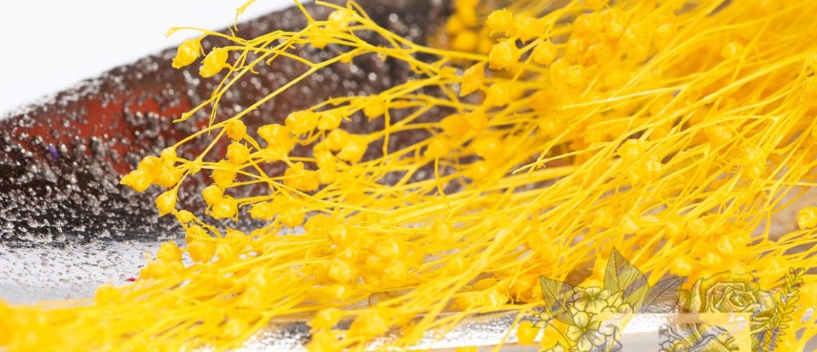 Broom Yellow 2