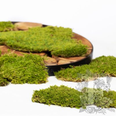 Canopy - Flat Moss - Bulk - Box  2.5Kg