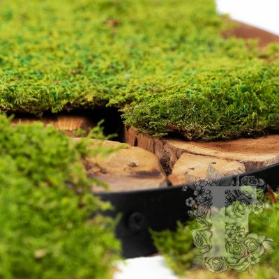 Canopy - Flat Moss - Box 500g