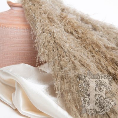 Pampas - Extra plume - 3 Stem - 120CM