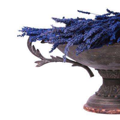 Lavender - Bunch - Purple blue
