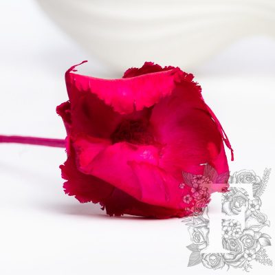 Palm Cap - 8 Stems