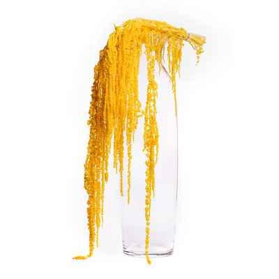 Amaranthus slim - Bunch
