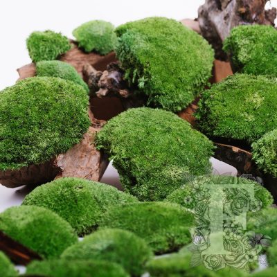 Ball Pole Moss - Bulk - 2.5kg