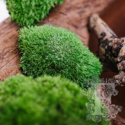 Ball Pole Moss - Window Box - 180g