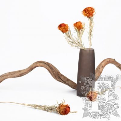 Banksia Dryandra - 3 Stem