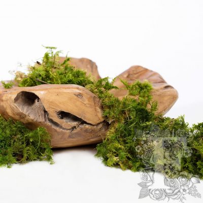 Canopy - Fern Moss - 500G