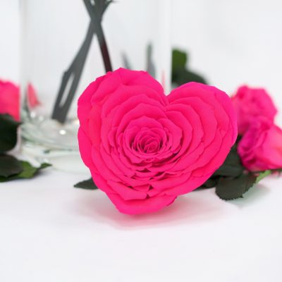 Heart Rose - XXL -1 Head