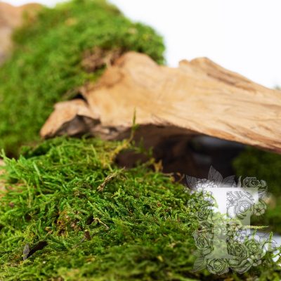 Canopy - Long Moss - 500G