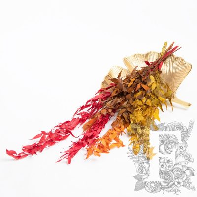 Premium Ruscus - autumnal - Bunch